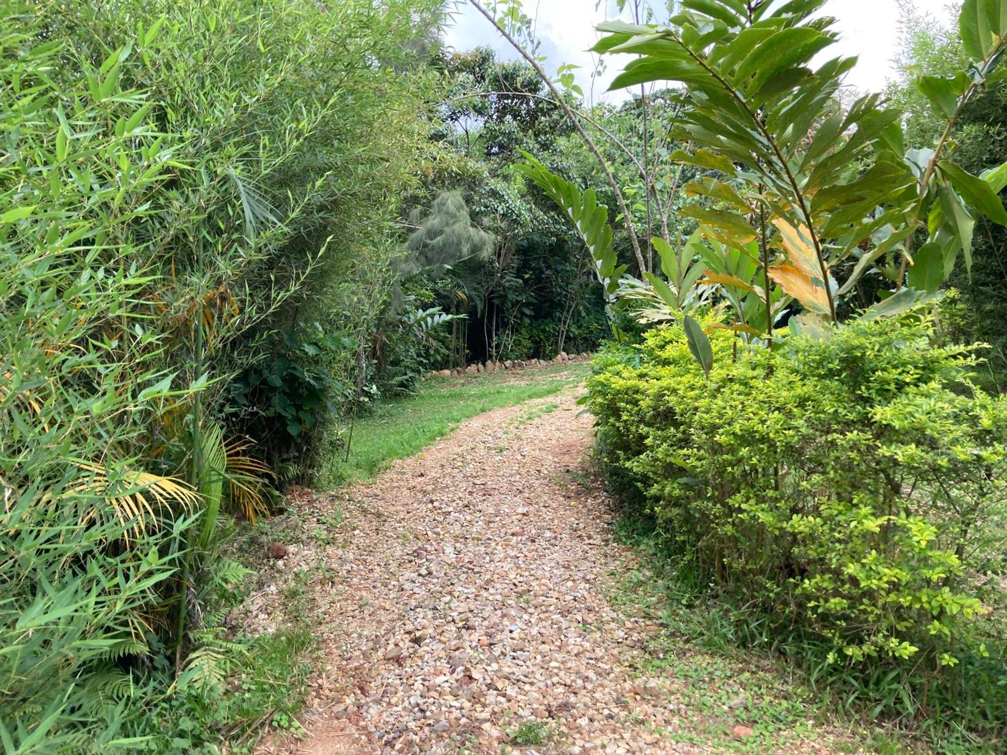 Bwindi Guest House Kanungu Eksteriør bilde