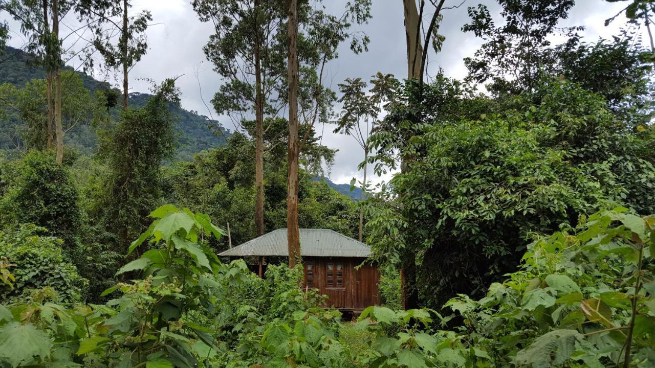 Bwindi Guest House Kanungu Eksteriør bilde