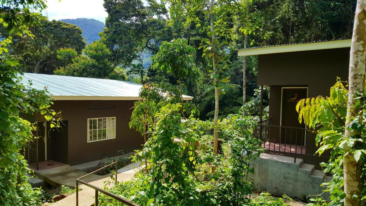 Bwindi Guest House Kanungu Eksteriør bilde