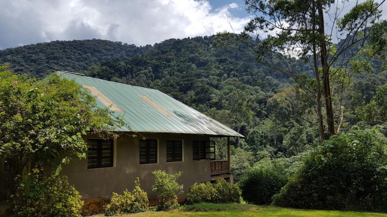 Bwindi Guest House Kanungu Eksteriør bilde