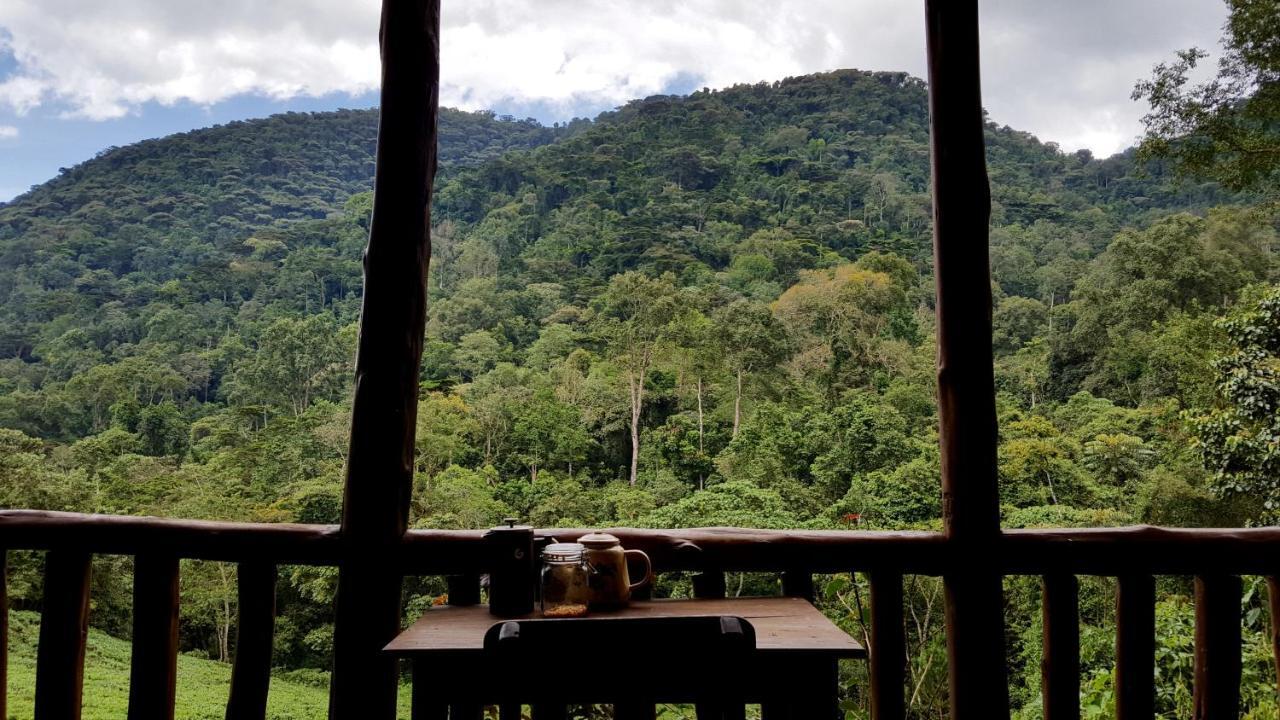 Bwindi Guest House Kanungu Eksteriør bilde