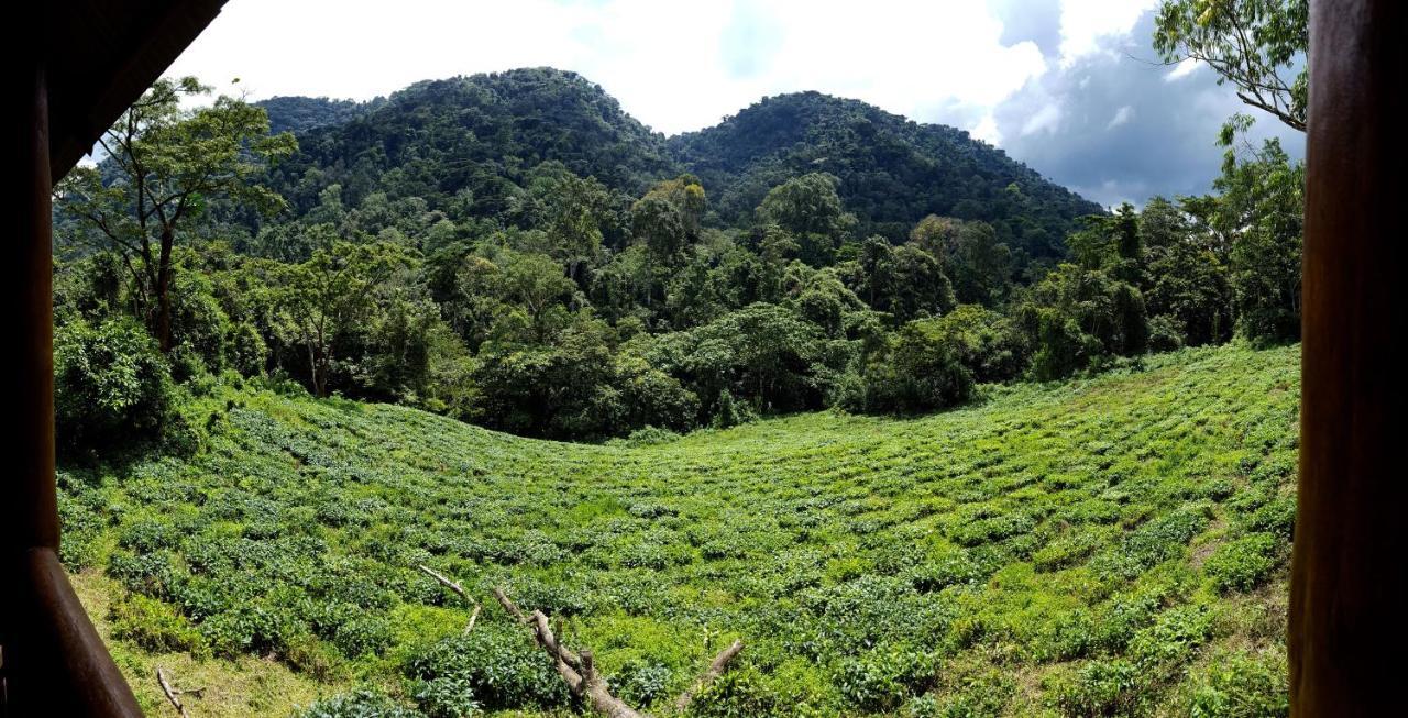 Bwindi Guest House Kanungu Eksteriør bilde